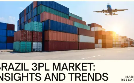 Brazil 3pl Market Size, Share, Growth, Trends, Report 2025-2033