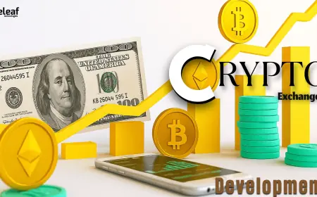 If I’m New to Digital Assets, Which DEX Should I Start With for a Smooth Experience?