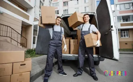 2Men2Vans Makes House Removal in Dublin Easier, Faster, and Stress-Free