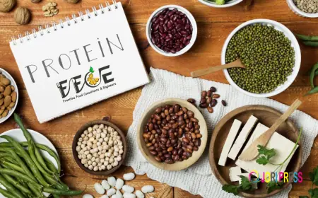 Hard Boiled Confectionery Products in India