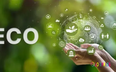 Free Boiler Scheme: Everything You Need to Know