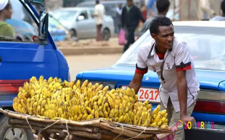 I Almost Quit Farming Until a Cleansing Turned Things Around