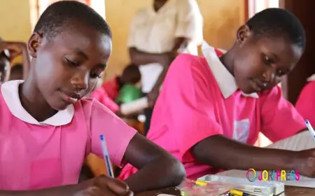 The Simple Strategy That Turned My Children From Poor Grades to Top Achievers