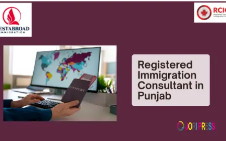 Get a smooth journey with a registered immigration consultant in Punjab