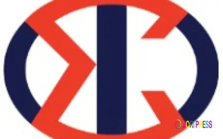 Best SEO Agency in Mumbai | Sigmaflux SEO Services