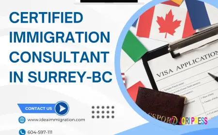 Certified & Trusted Immigration Services in Surrey, BC