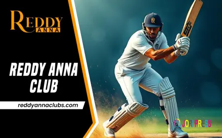Reddy Anna Club WhatsApp Login: The Smarter Way to Play