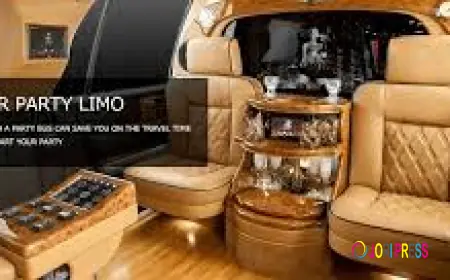 Customizable Party Bus Packages for All Celebrations