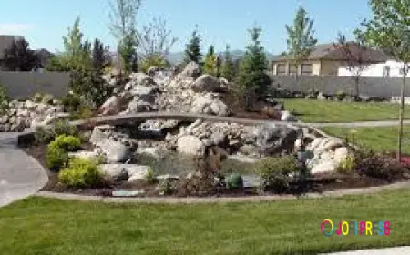 Hire a Professional Team for Complete Landscaping Maintenance