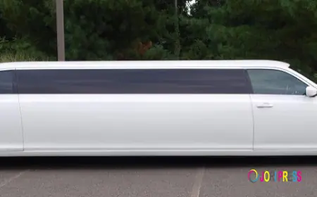Affordable Luxury Limo Services for Every Event