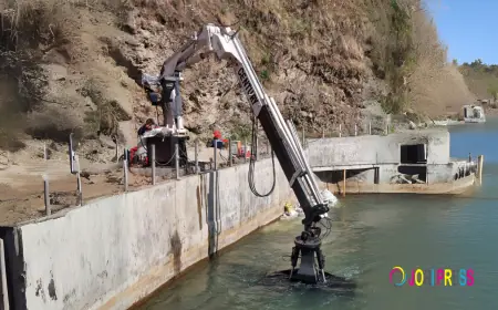 Grab Bucket Crane: Features, Uses, and Leading Suppliers in Faridabad