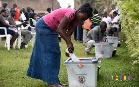 “How I Finally Won an Election After Failing Five Times” – Peter Shares