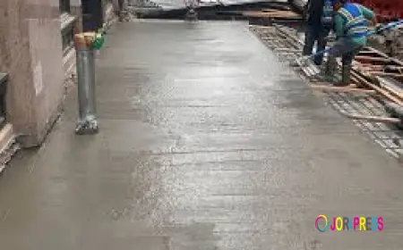 Trust Harbor Restoration for Quality Building Renewals