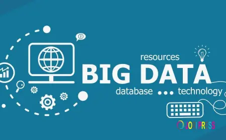 Tendencias, crecimiento y pronóstico del mercado de Big Data como servicio (BDaaS) en México (2025-2033)