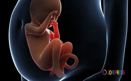 Infertility Specialist in Delhi – Complete Guide to Fertility Treatments