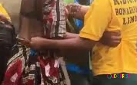 I Used Bees To Track Down a Woman Who Scammed Me on Facebook After Taking My Ksh 5000 Fare — Man Narrates