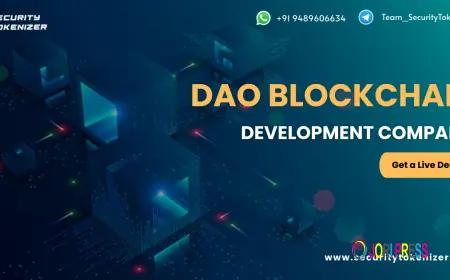 How Can a DAO Blockchain Development Company Turn Your Organization Fully Decentralized