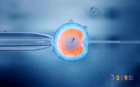 Nutrition Tips for Women Undergoing IVF Treatments