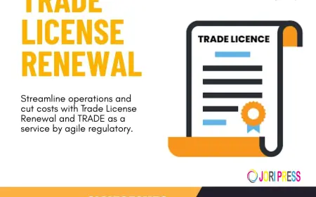 Your Annual Business Health Check: A Guide to Ensuring Legal Wellness