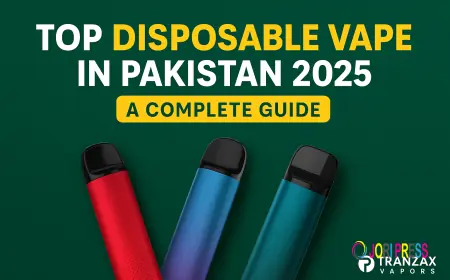 Top Disposable Vape in Pakistan 2025 A Complete Guide