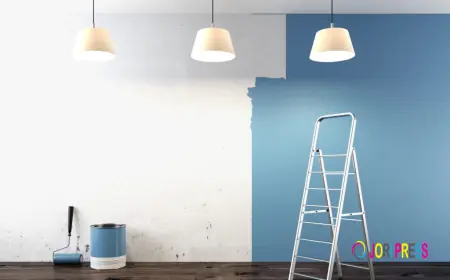 Make Every Space Look Clean, Bright, And Full Of Life