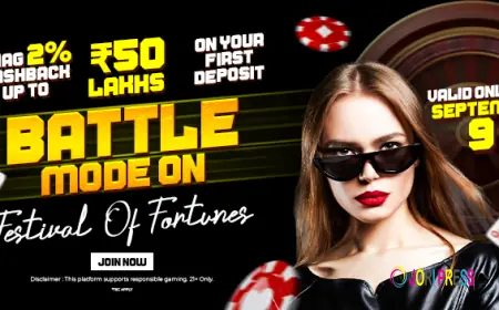 Playinexch Real-Time Updates & Live Digital Experience