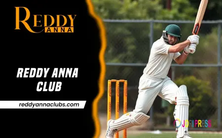 Reddy Anna Club Registration Process: Step-by-Step Tutorial