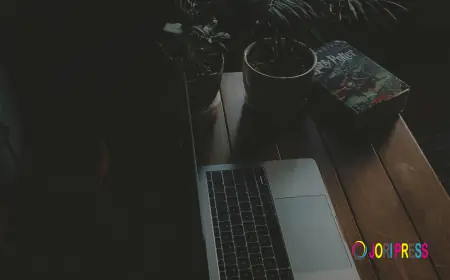 Shopify eCommerce Development Services to Grow Your Online Store