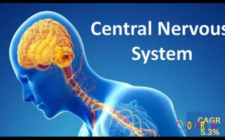 CNS Therapeutics Market Insights: Key Drivers & Restraints