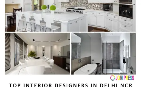 Find Top Interior Designers in Delhi NCR for Luxury Homes