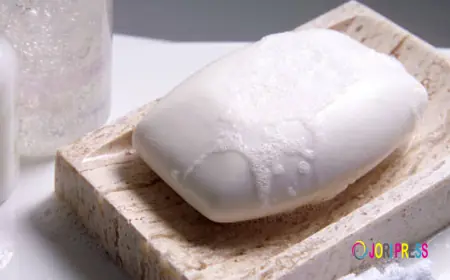 North America Bath Soap Market Size, Trends & Growth Forecast 2025-2033