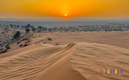 Morning & Evening Desert Safari Abu Dhabi – Complete Guide