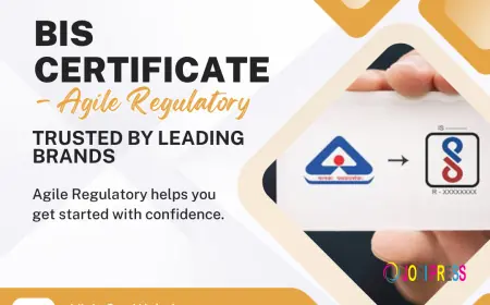 Navigating E-commerce: The Essential Compliance Checklist for Online Stores.