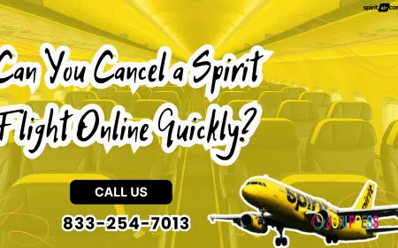 Can You Cancel a Spirit Flight Online Quickly?
