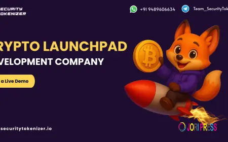 Crypto Launchpad Development: Fueling the Next Wave of Token Success