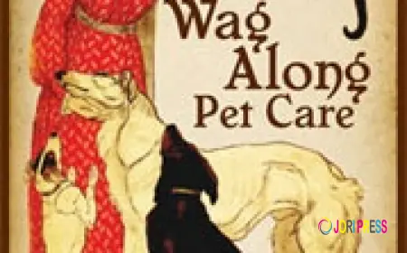 Focus On Keeping Pets Safe, Happy, And Comfortable In Familiar Surroundings