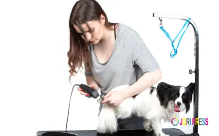Chewbarka Grooming Offers Mobile Pet Grooming in Fort Worth