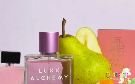 Prada Paradoxe Dupe – Affordable Elegance Without Compromise