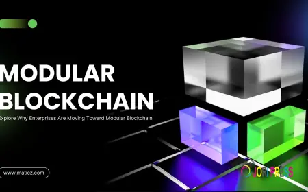 Breaking the Monolith: Why Enterprises Are Moving Toward Modular Blockchain Architecture