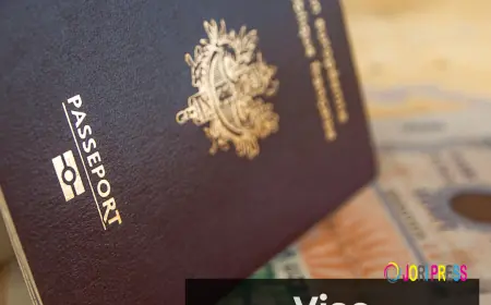 Visa Application Assistance: Expert Guidance for a Smooth Process