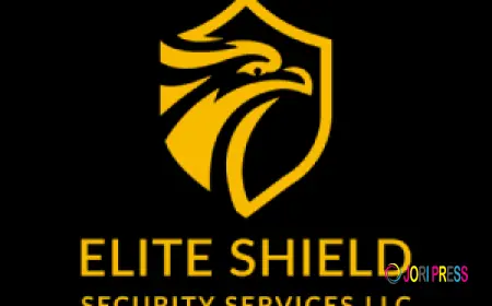 Security Companies in UAE | Safety Meets Sophistication
