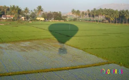 Hot Air Ballooning in India: A Journey to the Clouds