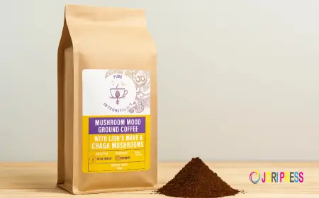 How Lion's Mane and Chaga Boost Mental Clarity