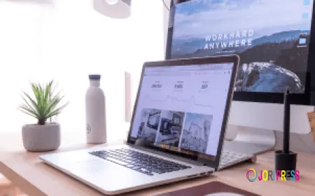 Manakanalytics – Leading Website Development Company in India and the Best Digital Marketing Agency in India