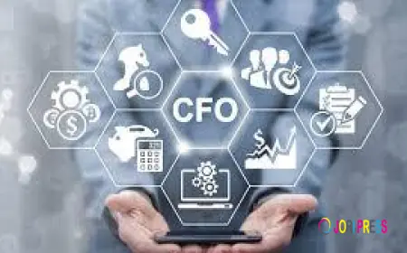 How Remote CFO Services Use Real-Time Data to Drive Growth Decisions