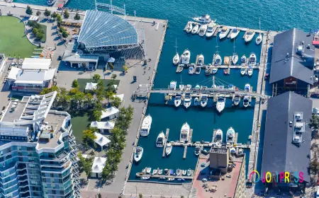 What is Marina Management Software and Why Marina Owners Need It?