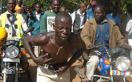 “How I Made Bees Attack the Thieves Who Kept Robbing My Home,” Peter Reveals