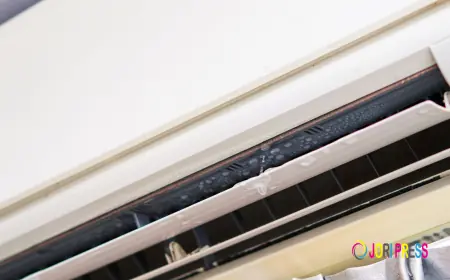 Why Is Water Dripping From My AC Vent? Here Are 7 Common Reasons