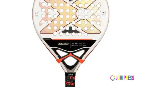 Choosing the Perfect adidas Bag and Padel Racket in South Africa