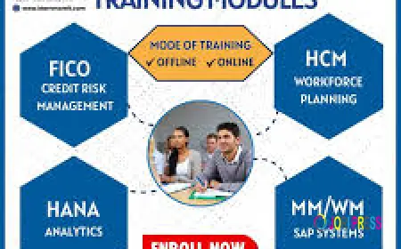 S.A.P institute in Ameerpet